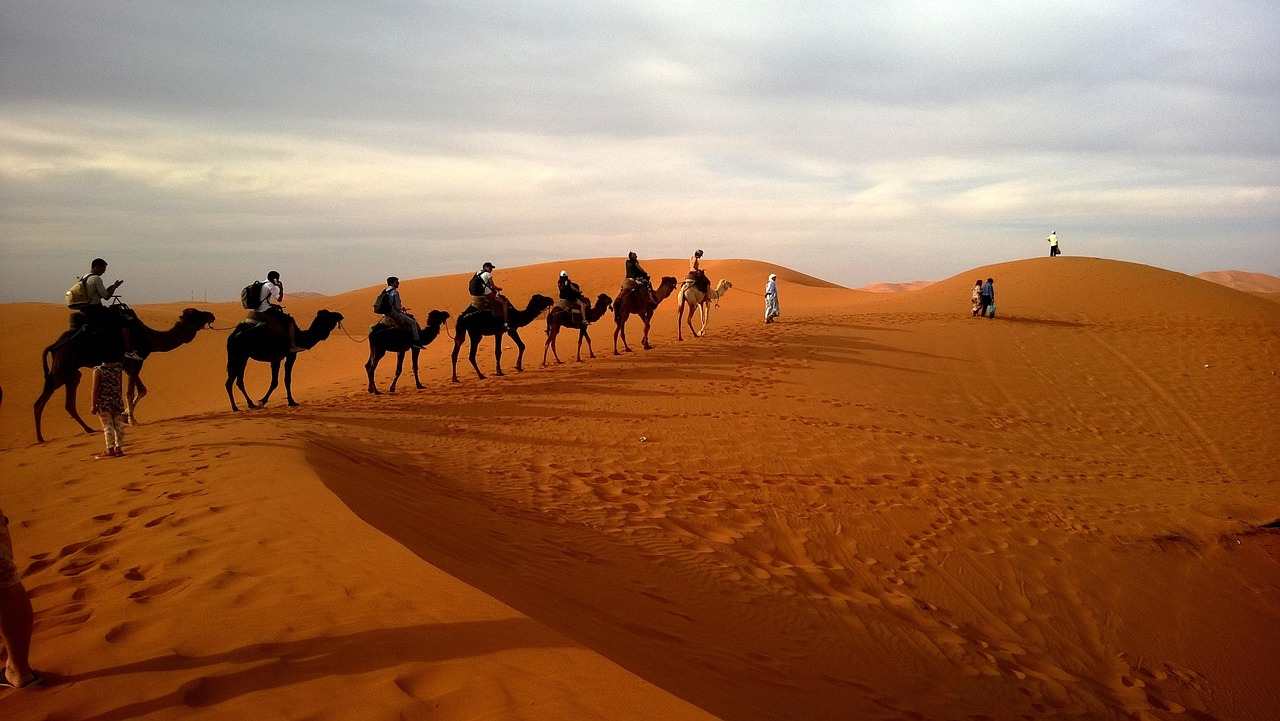 Desert Safari Dubai Standard